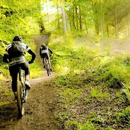 Confortable A - 25 M² Avec Sauna Apartmán *