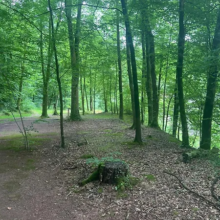 Apartmán Confortable A - 25 M² Avec Sauna