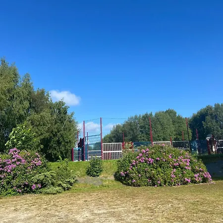 Cosy A Aux Etangs 25 M² Avec Et Sauna La Ferriere-aux-Etangs