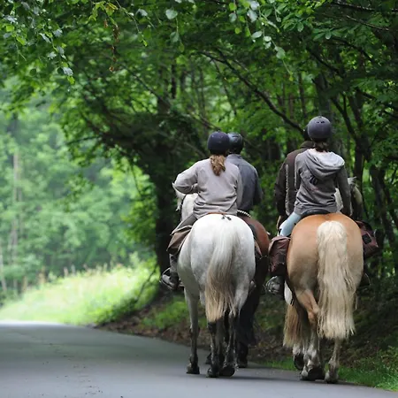 Confortable A - 25 M² Avec Sauna