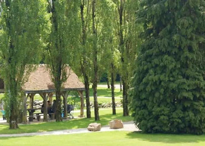 Confortable A - 25 M² Avec Sauna