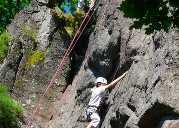 Confortable A - 25 M² Avec Sauna