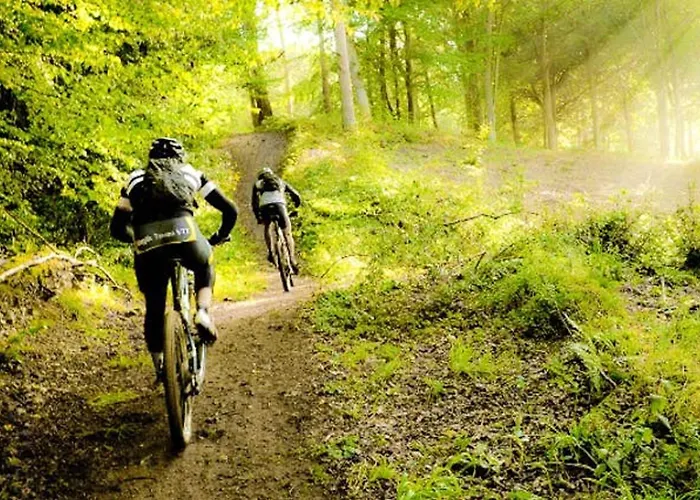 Confortable A - 25 M² Avec Sauna Apartment *