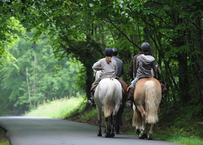 Apartment Confortable A - 25 M² Avec Sauna