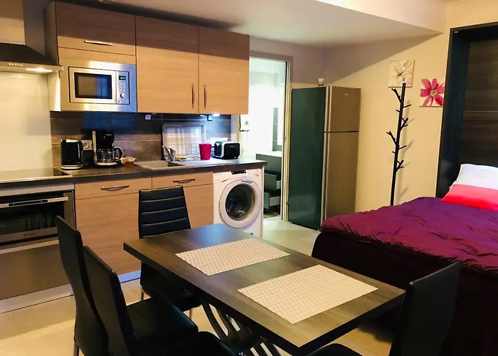 Apartment Confortable A - 25 M² Avec Sauna La Ferriere-aux-Etangs