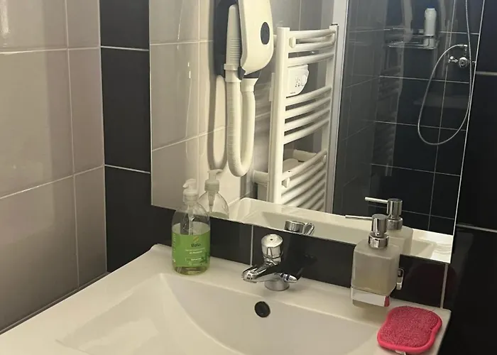 Apartment Confortable A - 25 M² Avec Sauna