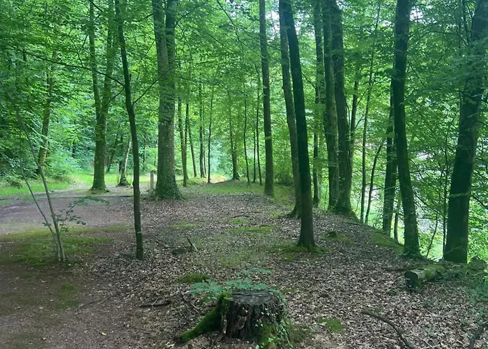 Apartment Confortable A - 25 M² Avec Sauna